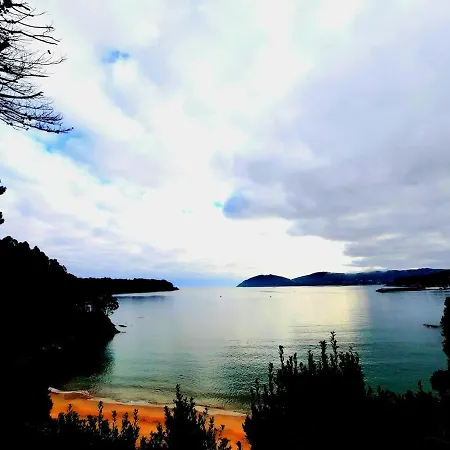 Lo Mejor De * Viveiro